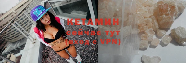 шишки Дмитриев