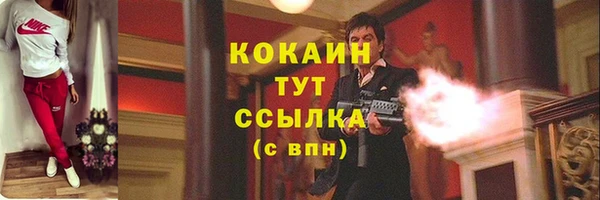 молекула духа Дмитров