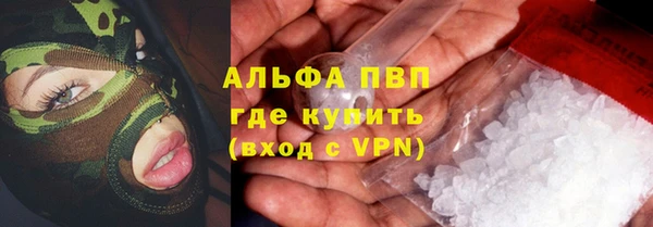 молекула духа Дмитров