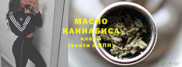 шишки Дмитриев