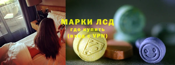 шишки Дмитриев