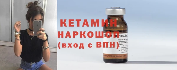 шишки Дмитриев