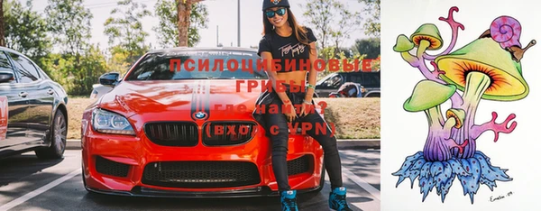 молекула духа Дмитров