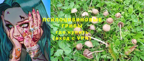 марихуана Дмитровск
