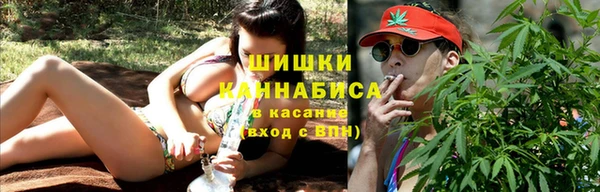 шишки Дмитриев