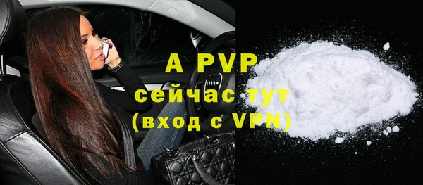 шишки Дмитриев