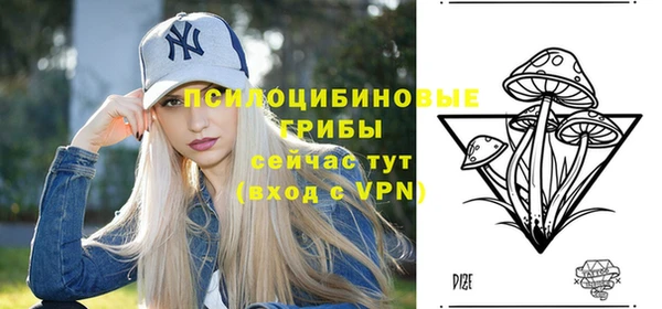 молекула духа Дмитров