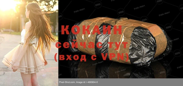 шишки Дмитриев