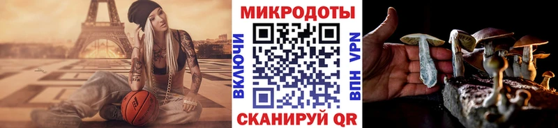 Купить где  Очёр  Псилоцибиновые грибы мицелий 